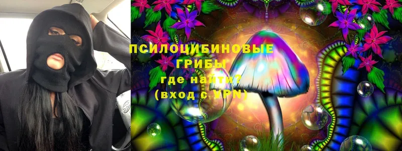 Псилоцибиновые грибы MAGIC MUSHROOMS  Берёзовский 